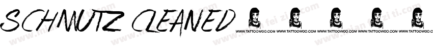schmutz cleaned字体转换